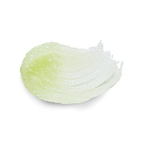 Dr Teal's - Exfoliante corporal de azúcar de karité, aceite de semilla de cáñamo de cannabis sativa con aceites esenciales, 19 onzas (paquete de 3)