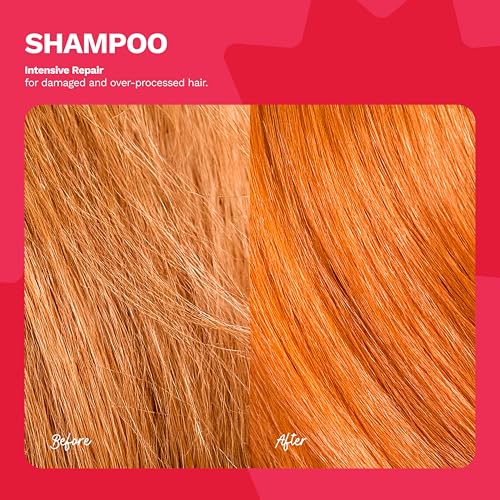 Ginger Milk - Kit de reparación del cabello champú revitalizante + mascarilla reparadora intensiva | Restaura, fortalece y nutre | Sin sulfatos | Brillo brillante y sedosidad