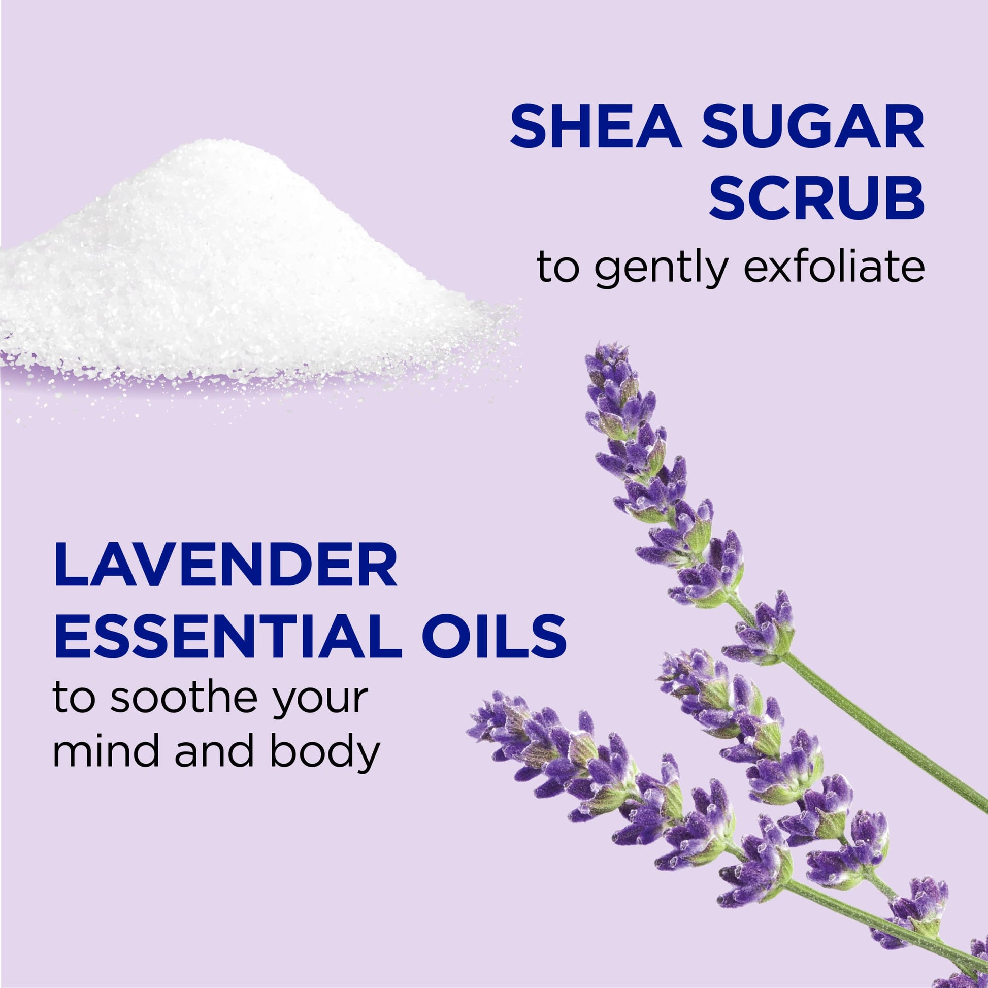 Dr Teal's - Exfoliante de azúcar de karité, aceites esenciales de lavanda, 19 onzas (paquete de 3)