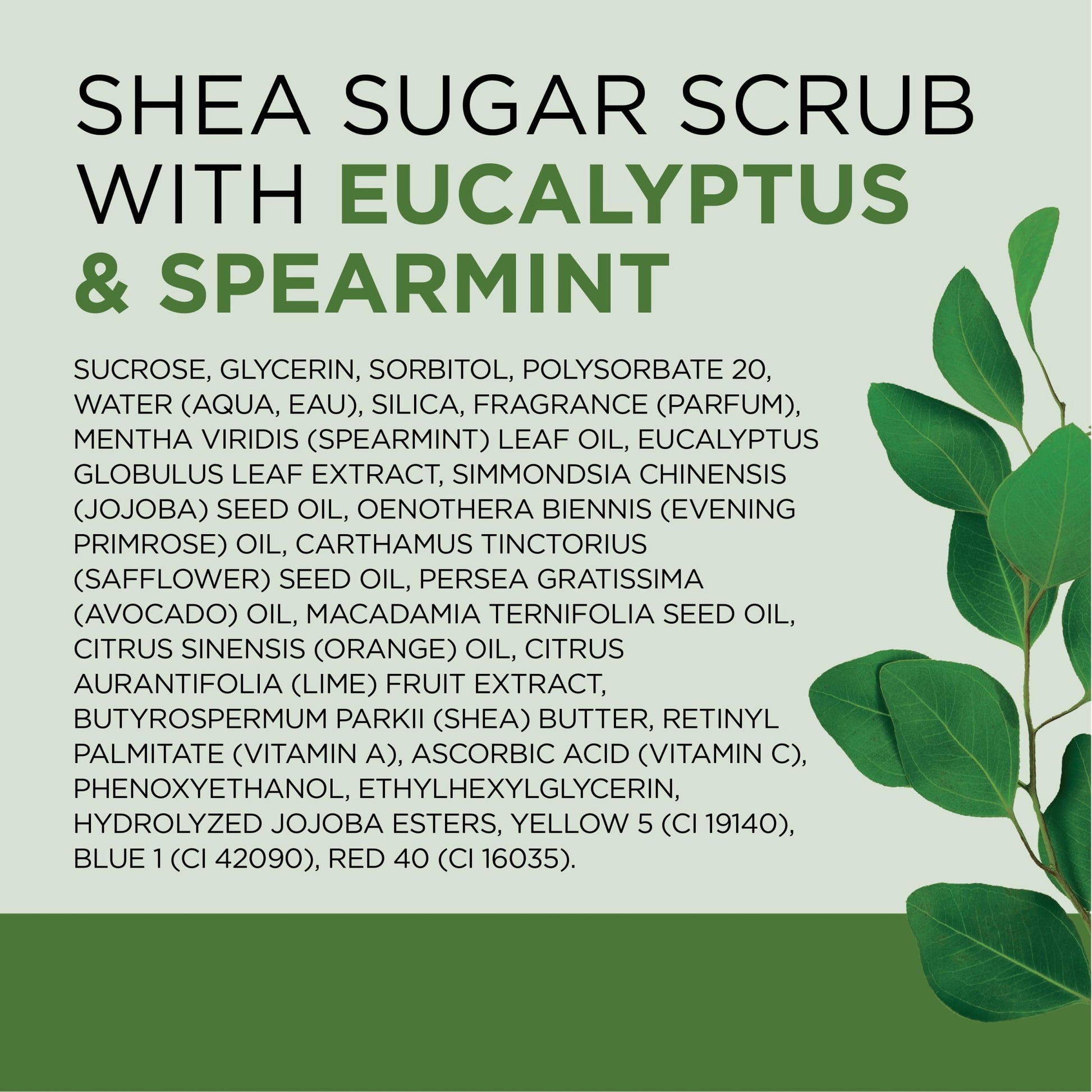 Dr Teal's - Exfoliante de azúcar de karité, aceites esenciales de eucalipto y menta verde, 19 onzas (paquete de 3)