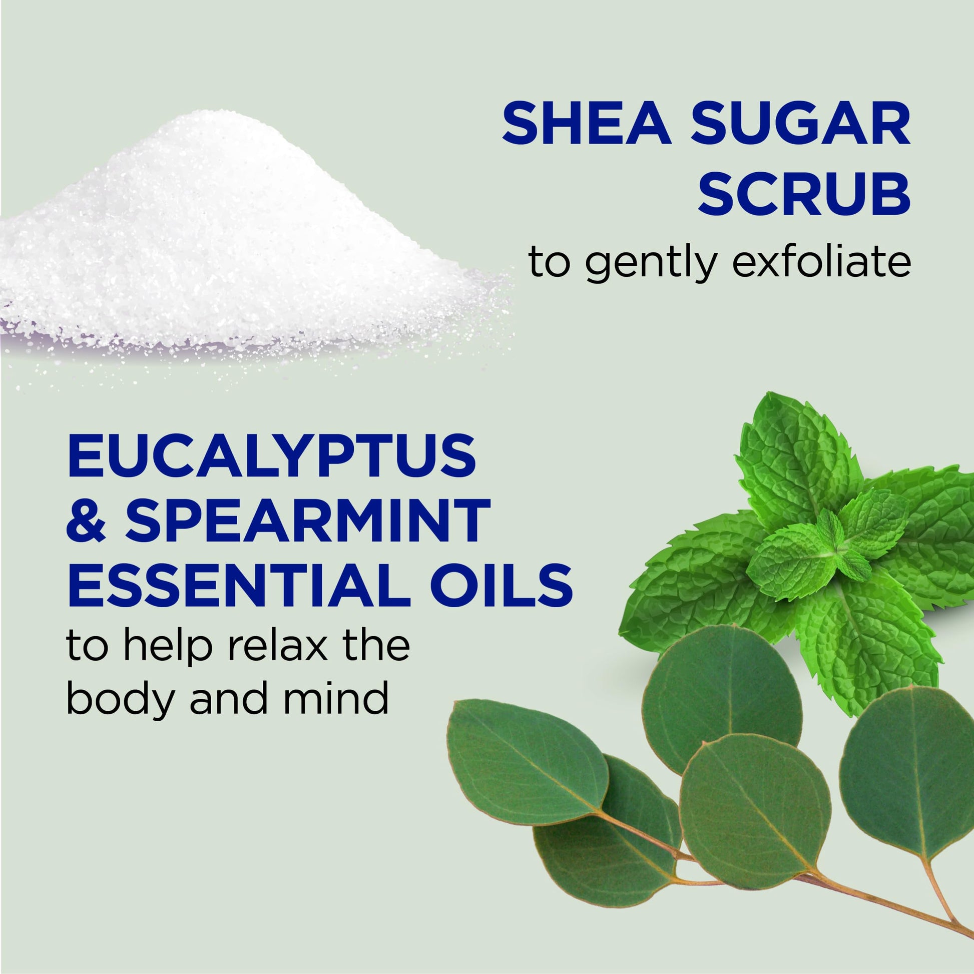 Dr Teal's - Exfoliante de azúcar de karité, aceites esenciales de eucalipto y menta verde, 19 onzas (paquete de 3)