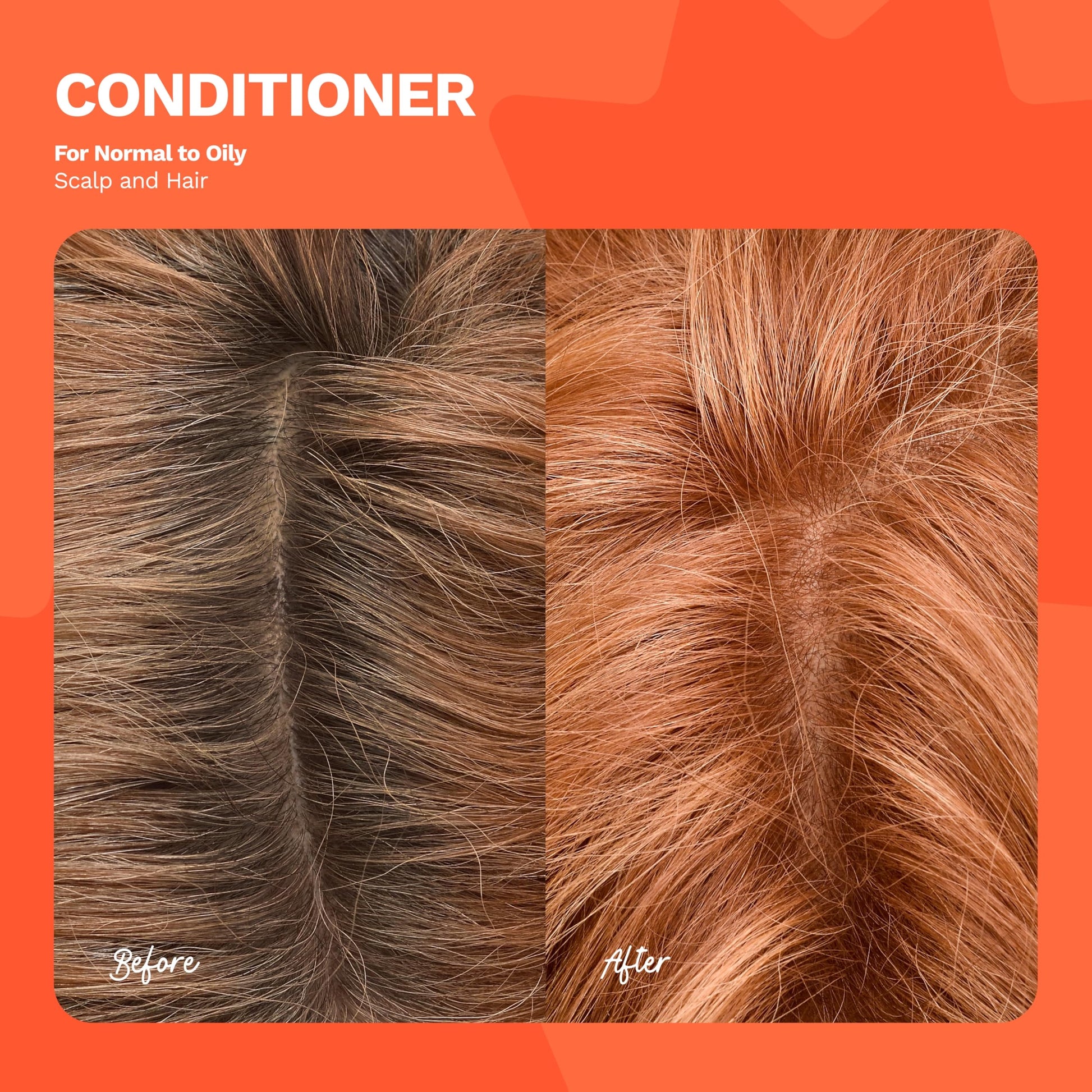 Ginger Milk -  Acondicionador BE HONEST para todo tipo de cabello. Rico en activos botánicos y vitaminas para una flexibilidad y brillo óptimos. (8.5 fl oz.)