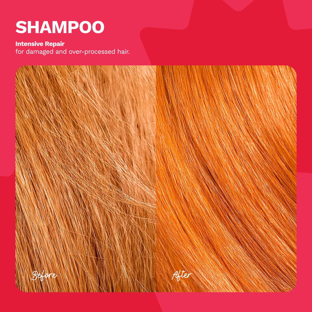 Ginger Milk - Kit de reparación del cabello - Shampoo y Mascarilla para el cabello revitalizante y mascarilla reparadora intensiva para cabello dañado - Restaura, fortalece y nutre tus pelos para un brillo