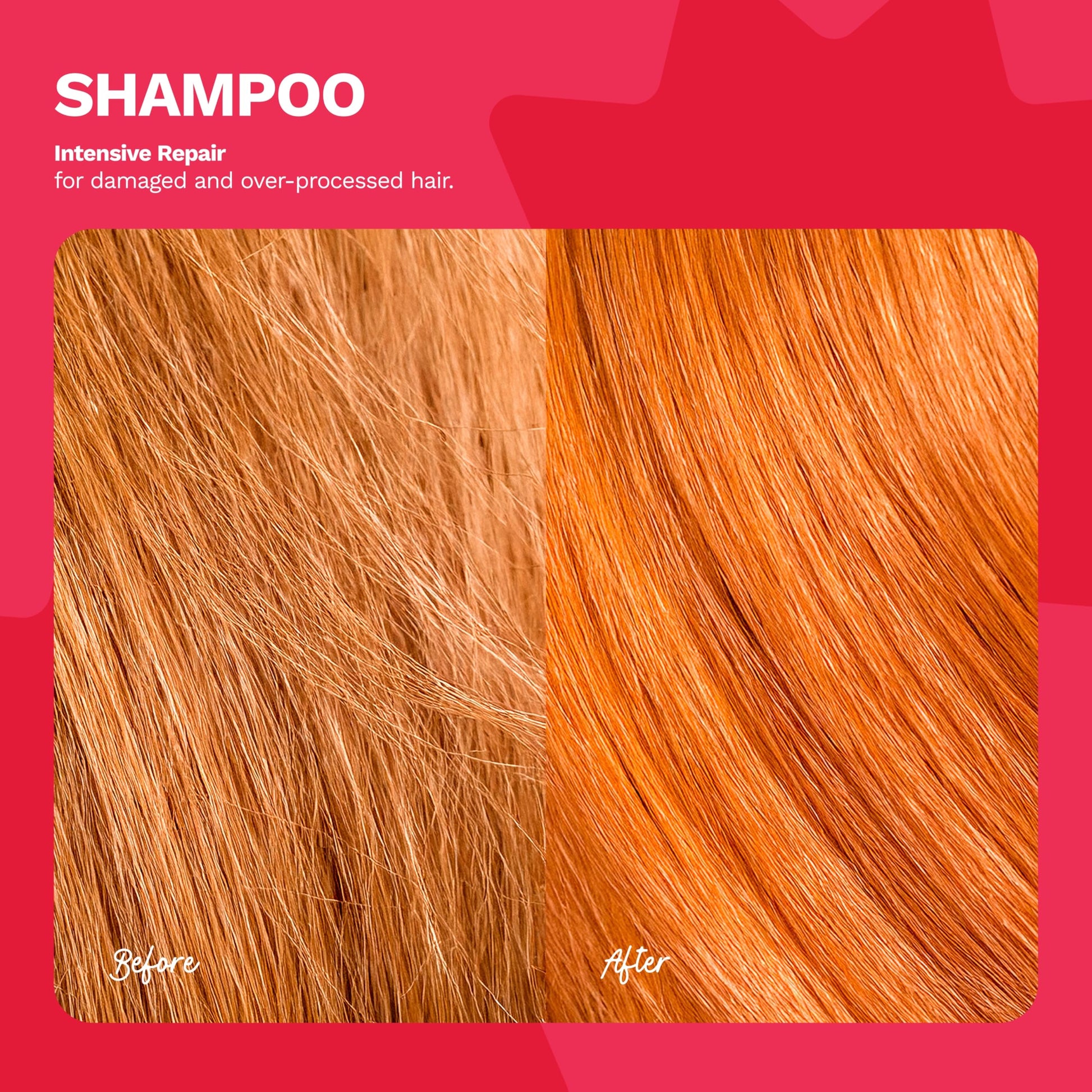 Ginger Milk - Kit de reparación del cabello - Shampoo y Mascarilla para el cabello revitalizante y mascarilla reparadora intensiva para cabello dañado - Restaura, fortalece y nutre tus pelos para un brillo