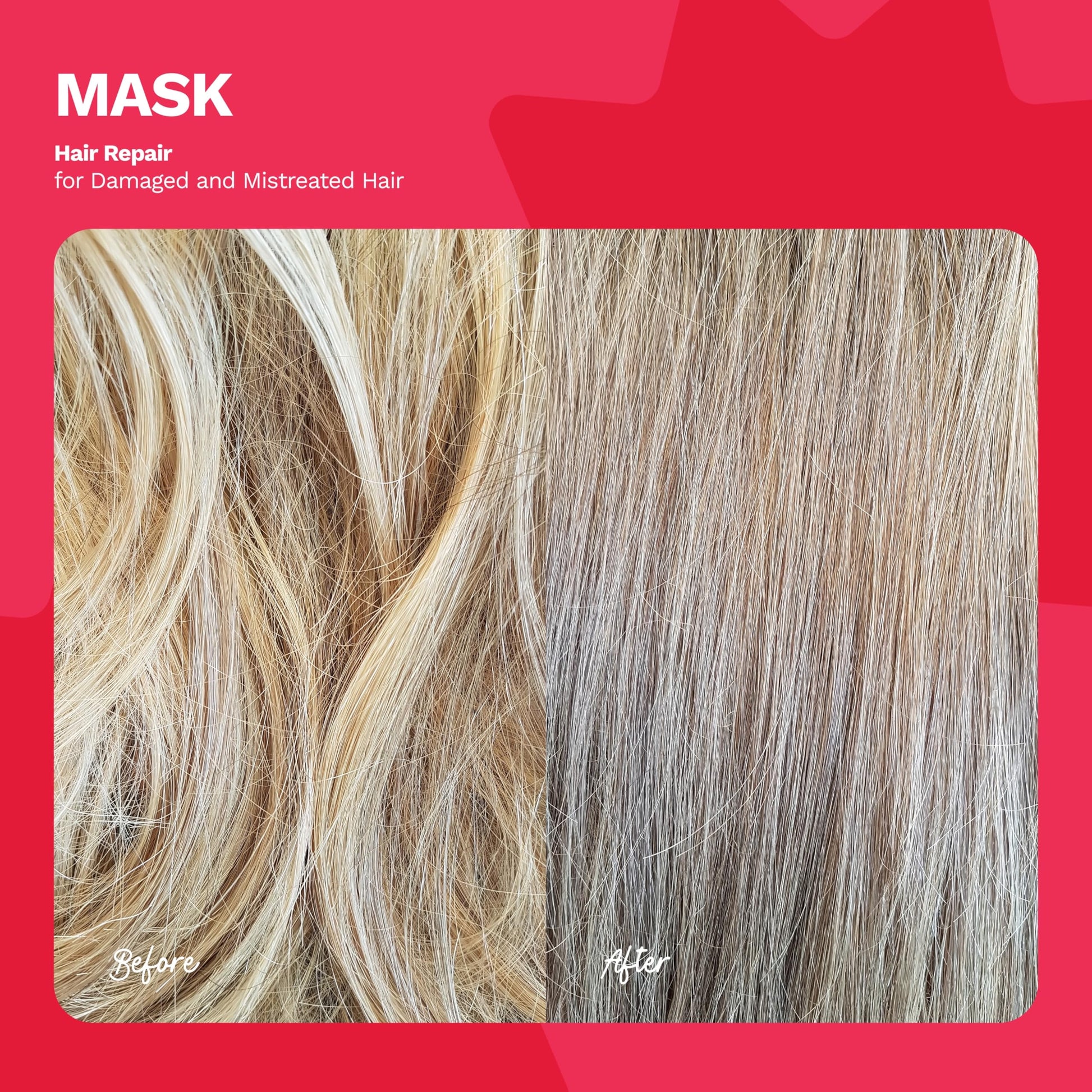 Ginger Milk - Kit de reparación del cabello - Shampoo y Mascarilla para el cabello revitalizante y mascarilla reparadora intensiva para cabello dañado - Restaura, fortalece y nutre tus pelos para un brillo